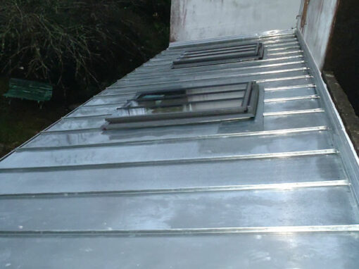 COUVERTURE, ZINGUERIE ET FENETRES DE TOIT (8)