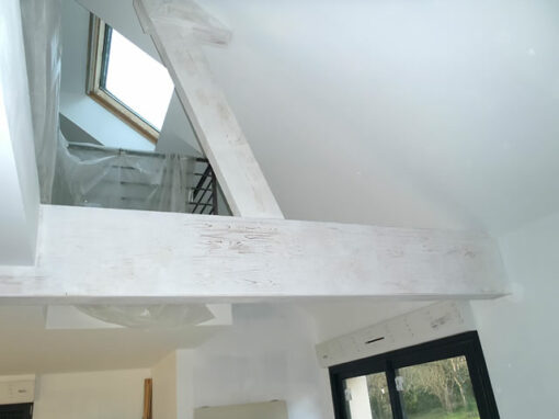 PEINTURES INTERIEURES ET EXTERIEURES (6)